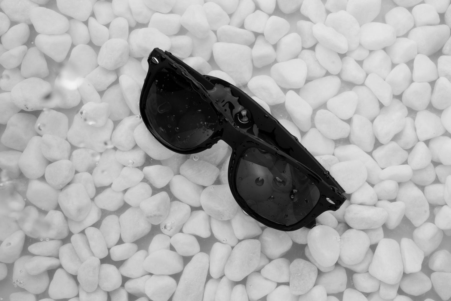 Sunglasses & Eyewear